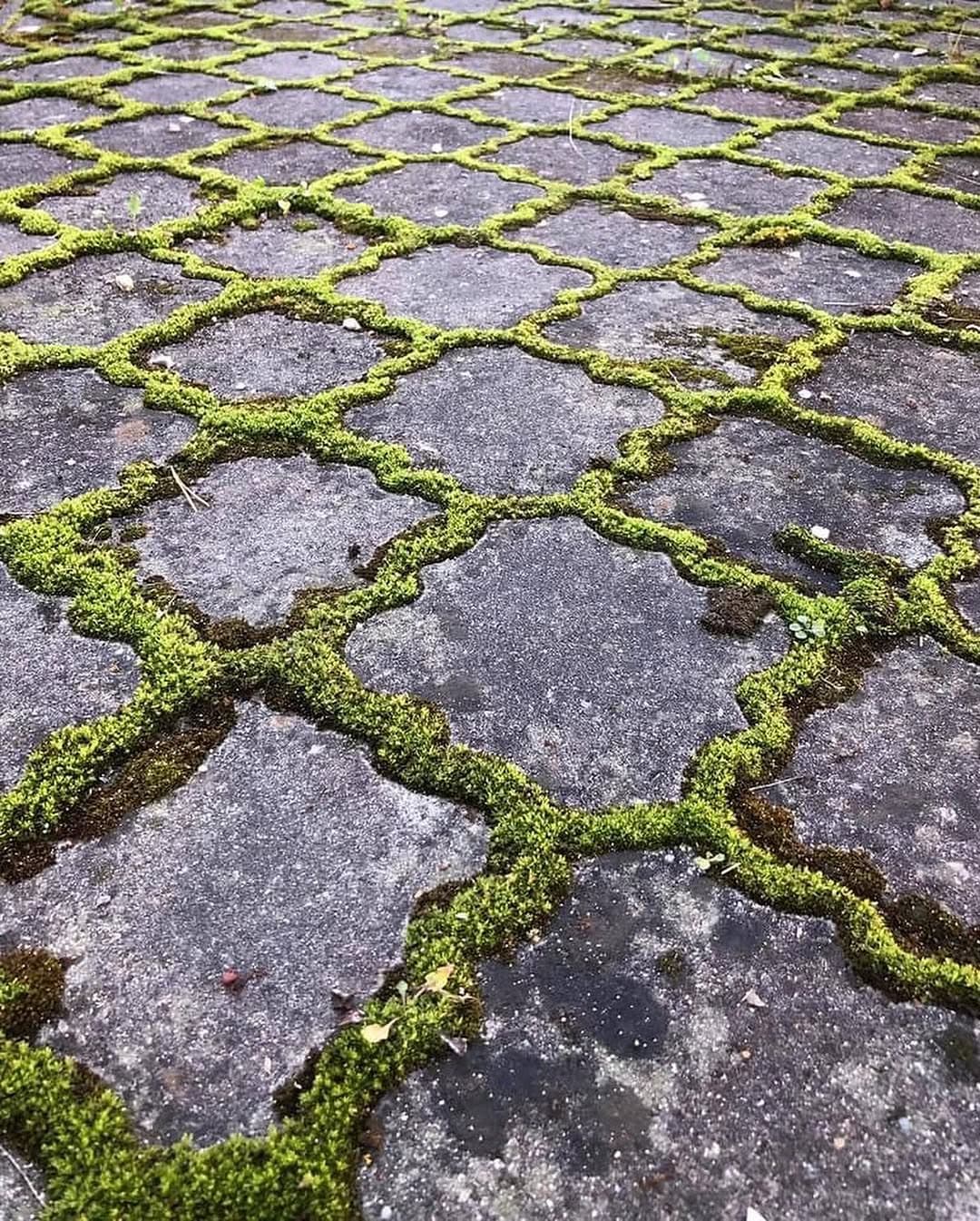 Čistenie dlažby a exteriérov — projekt 2